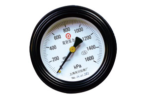 軸向雙針雙管壓力表